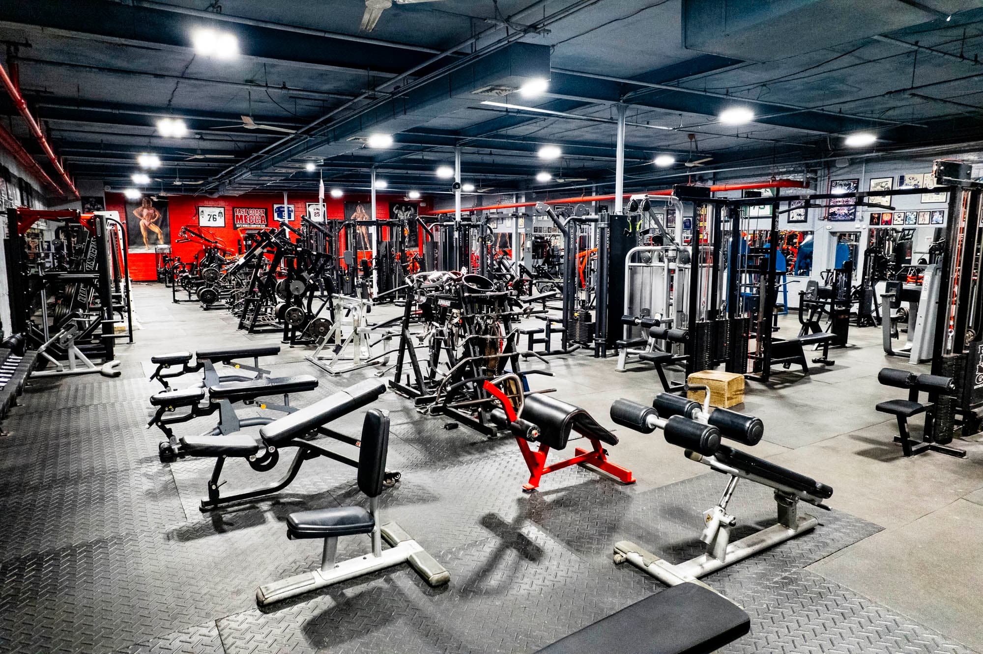 Gym